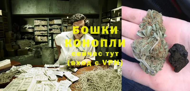 Бошки марихуана SATIVA & INDICA  Саров 